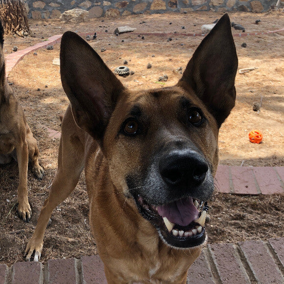 The happiest boy now!