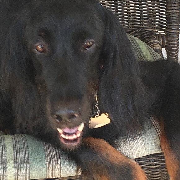 HANGING OUT ON THE PORCH