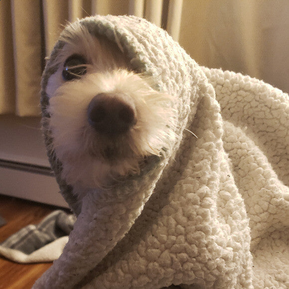 Did you say food? I could have sworn you said food...