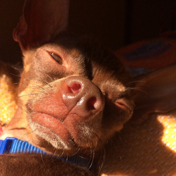 up close and kissable!
