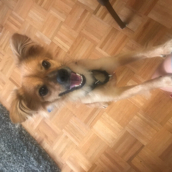 Happy Sky