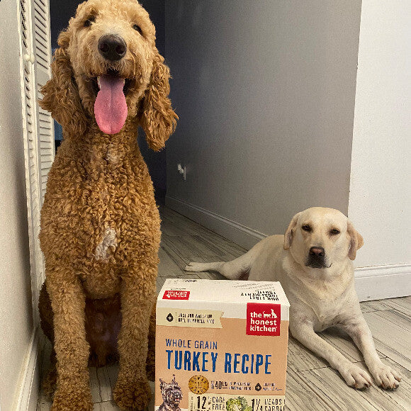 We Stand By Our Food