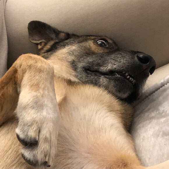 Did you say food?