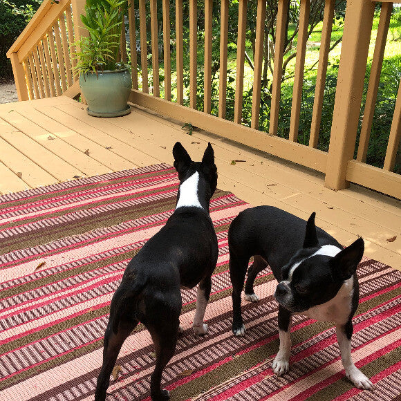 Susie and Abbie love their yard
