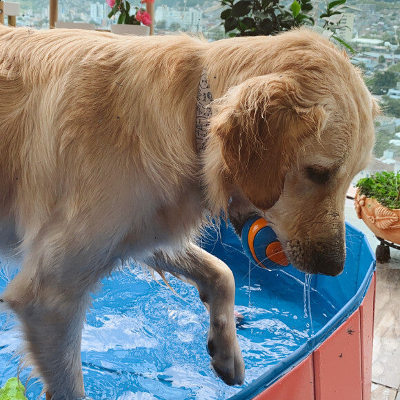 Pool days for dayyys.