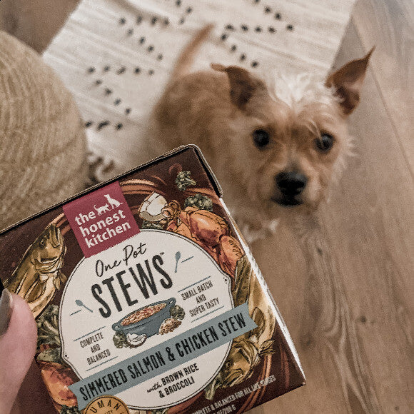 Rosie tried this flavor first and is living for it! The texture of the food is perfect and very easy to mix in with her dry food.