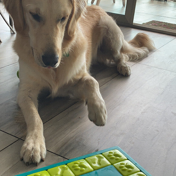 Lets get those treats!!!