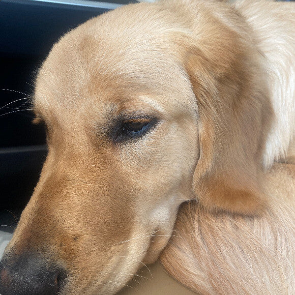 Charlie