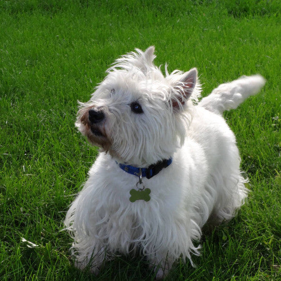 Chloe who is 13yrs old