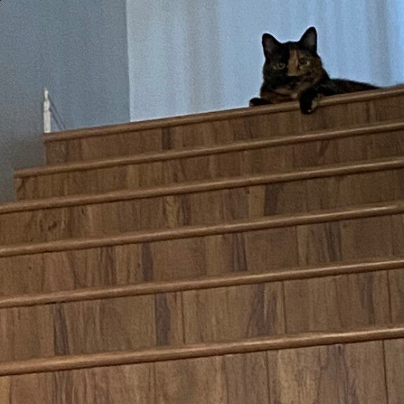 Did u get my food ready?