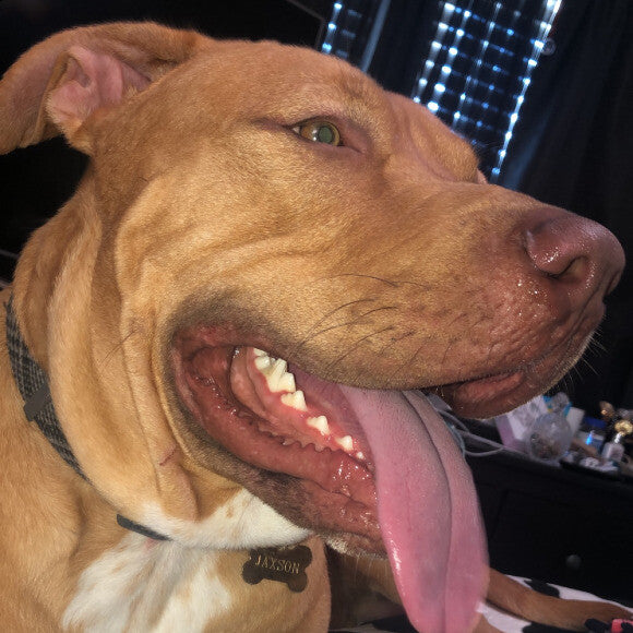 Happy girl