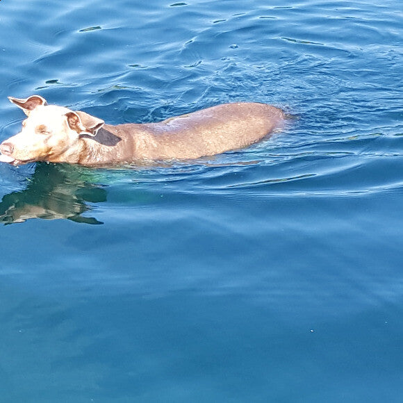 summer swim time!