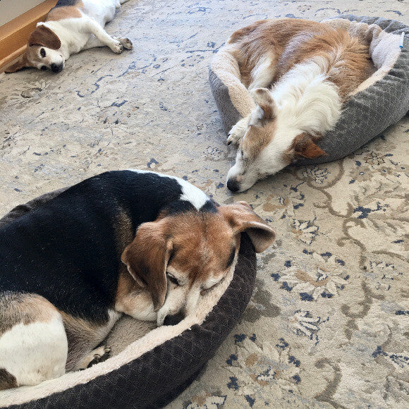 Nap time