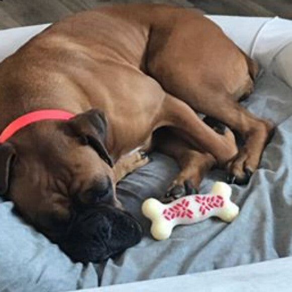 Kiya