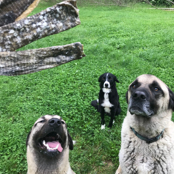 Valerie, Jilly & Floyd...the HK crew!