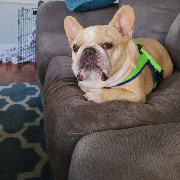 The grump himself