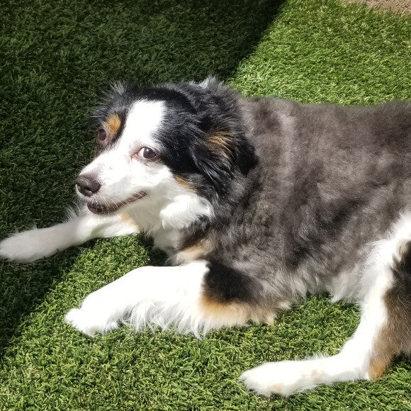 My little senior girl...