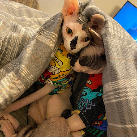 Cuddle session!