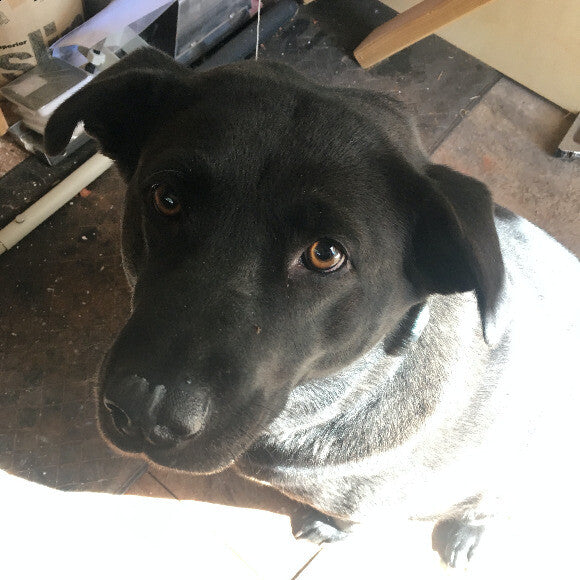 Juno