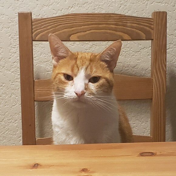 Elliot