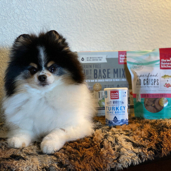 Savvy Sav�s health food journey ends with The Honest Kitchen!