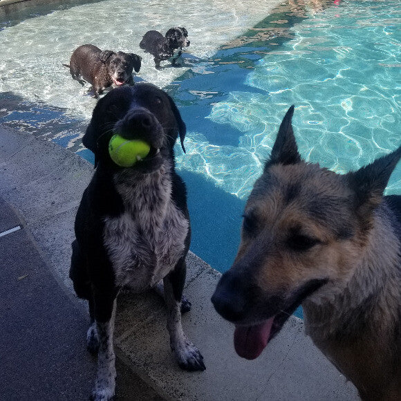 Pool time is the best!