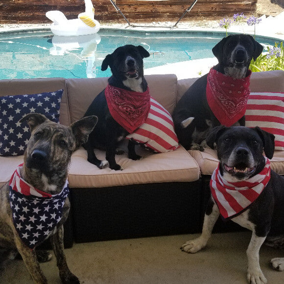 'Merica