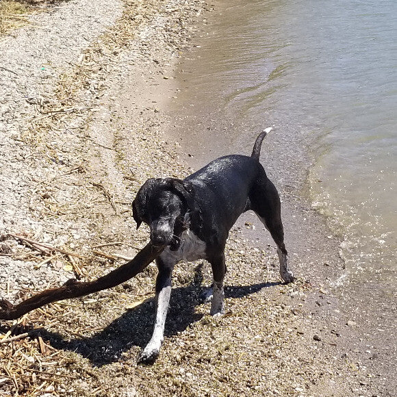 Active and lovin it!