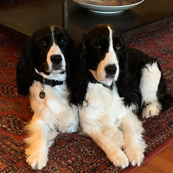 Wynnie and her BFF, Shelby