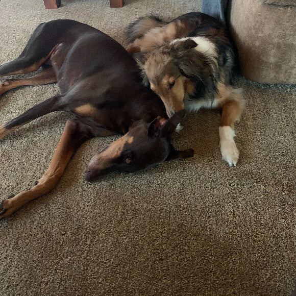Kena and Rocky