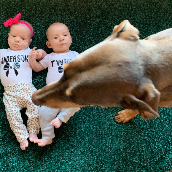 Always by my side watching over the babies. Anytime I am holding them or anyone else- she sits right in front them.
