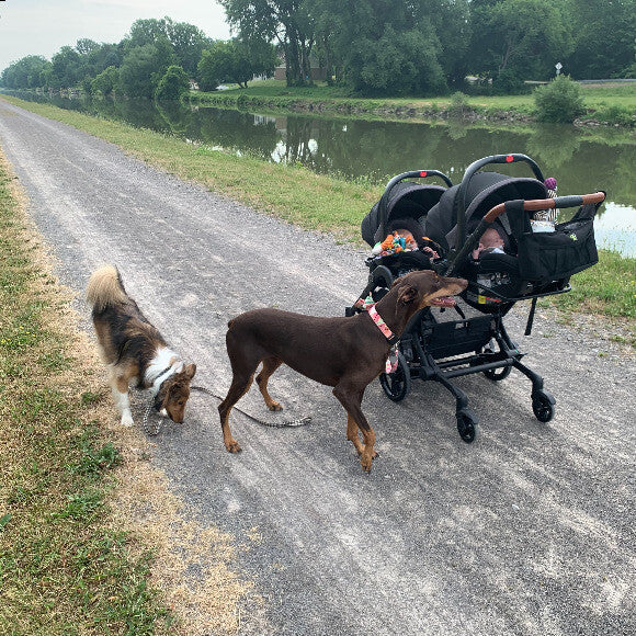 I recently had twins and she is so protective over them.
