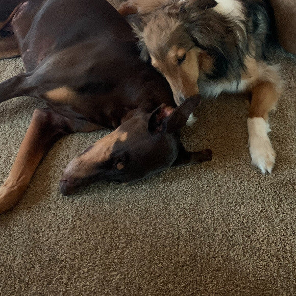 Kena and Rocky