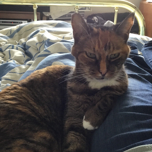 I like sleeping on my mom�s leg in bed...