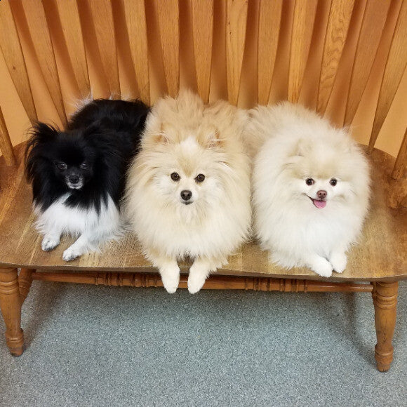 Josi, Henry, Baxter