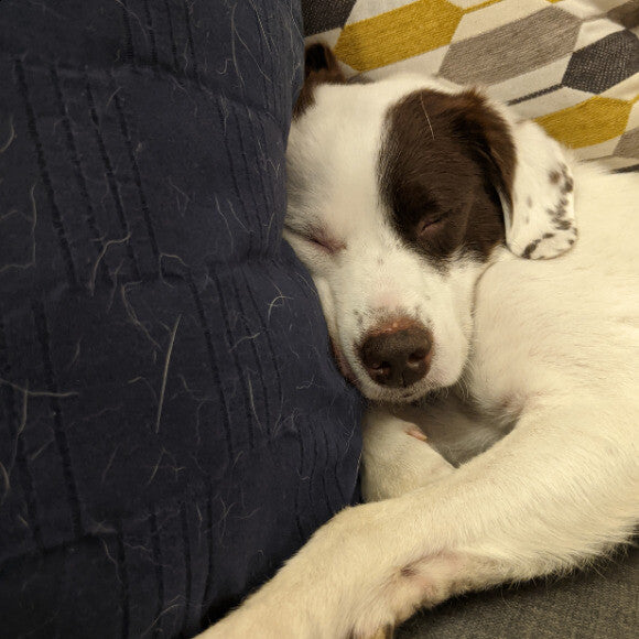 zonked after a big park session