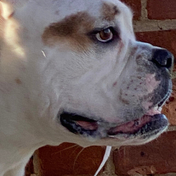 Is it Dinner Time Yet?