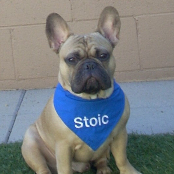 Stoic now!