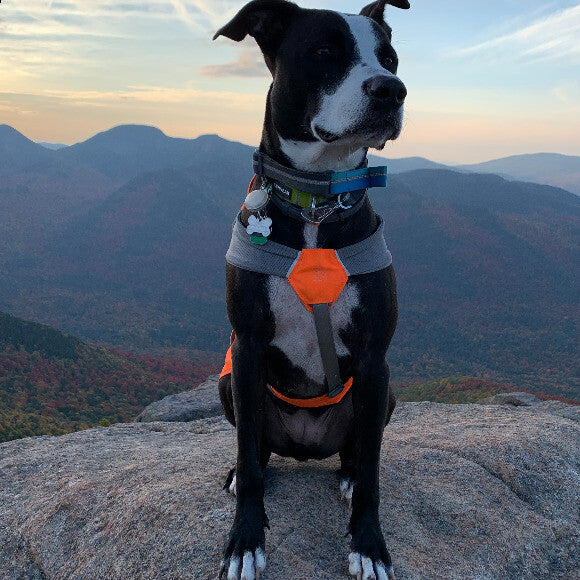Summit