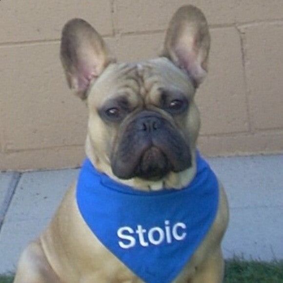 Stoic now, My handsome lad.