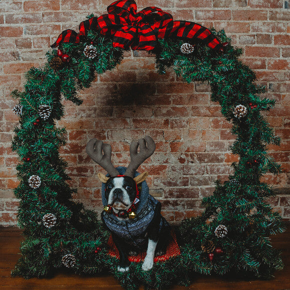 Christmas 2019