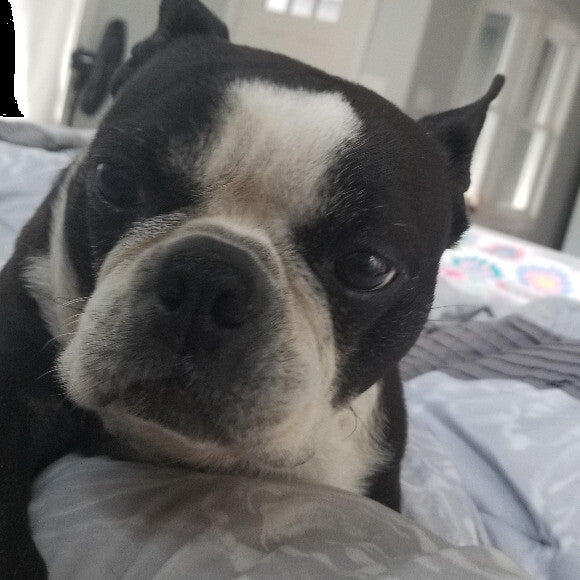 My sweet boy