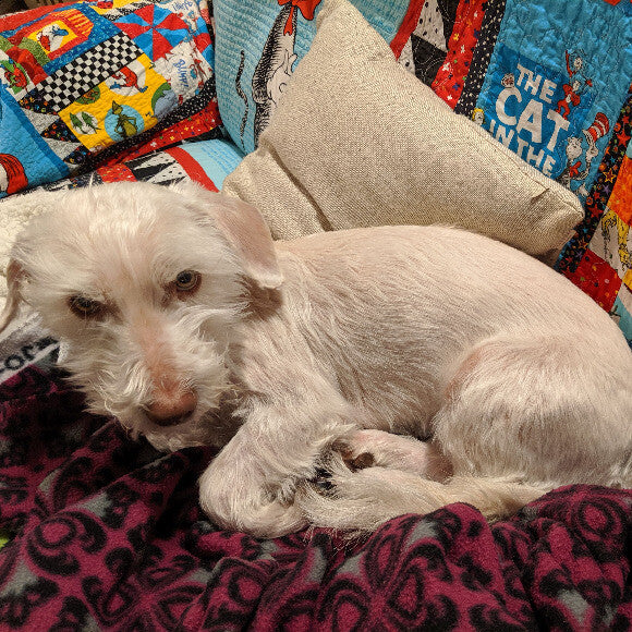 Happy today! Just woke up up from a post-breakfast food coma. He's so much healthier!