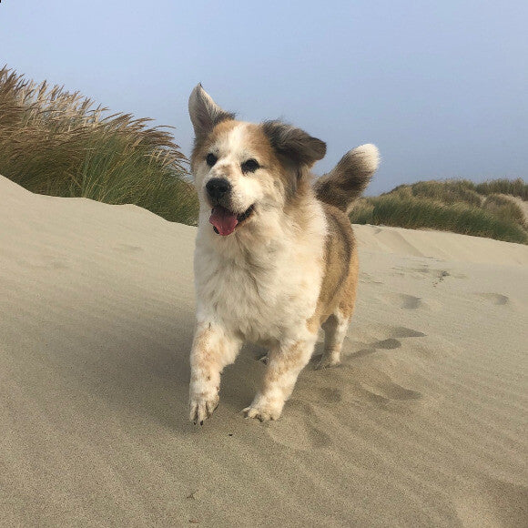 Muira at the Beach!