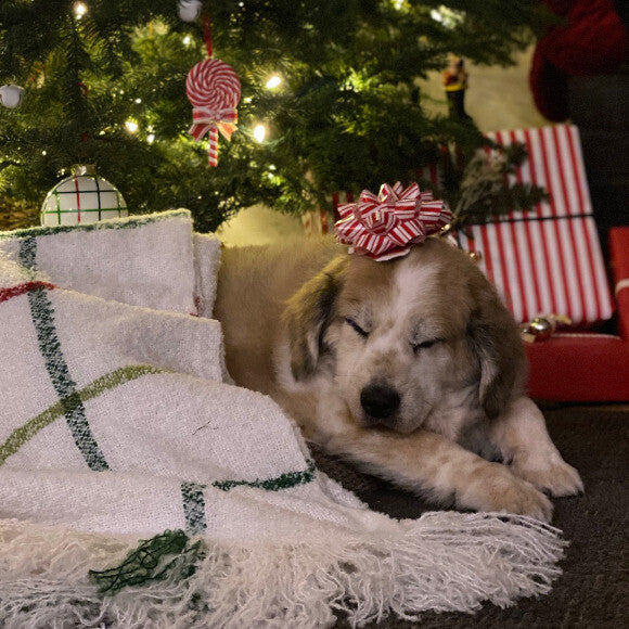 The best gift of my life.