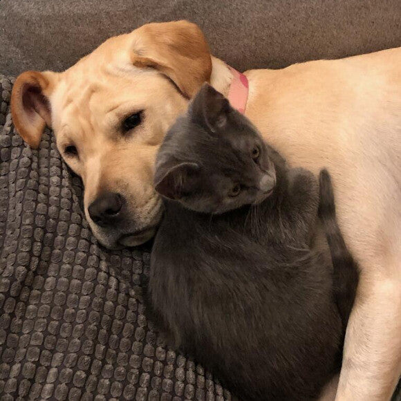 Bella and Spruce