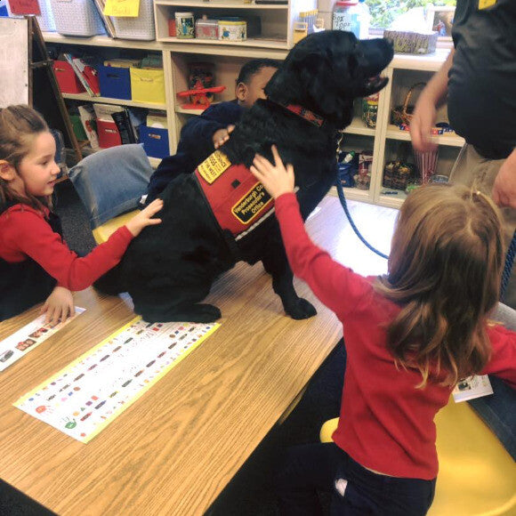 Working with elementary students