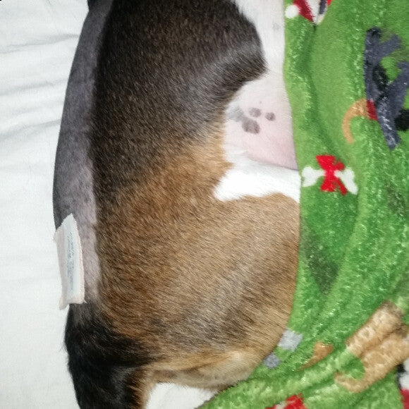 Cooper recovering from back surgery