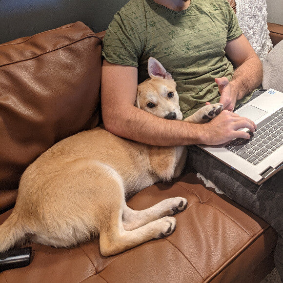 Working with papa
