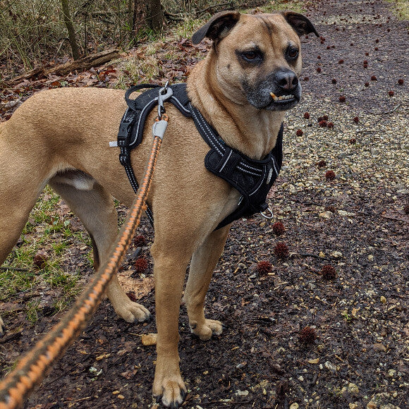 Hans hiking.
